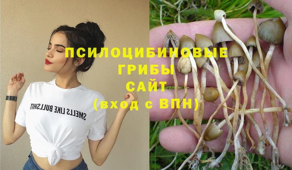 бутират Арсеньев