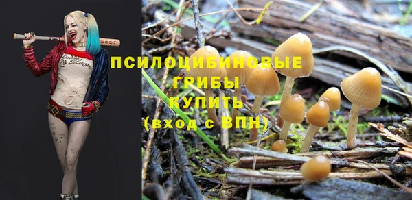 а пвп мука Остров