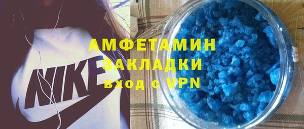 крисы Инта