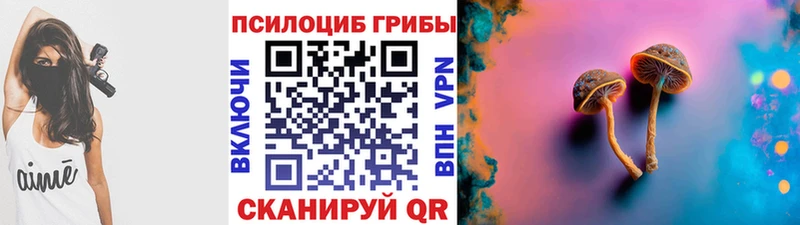 Псилоцибиновые грибы Cubensis Собинка